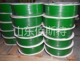 17C精品麻豆一区二区免费圆带1